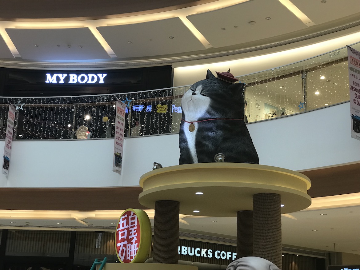 可愛的貓的雕塑圖片欣賞